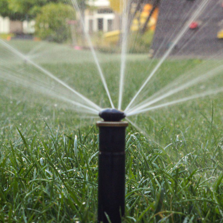 Landscape Services in Princeton, TX Landscape Services in Princeton, TX