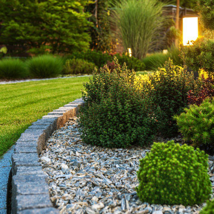 Landscape Services in Princeton, TX Landscape Services in Princeton, TX