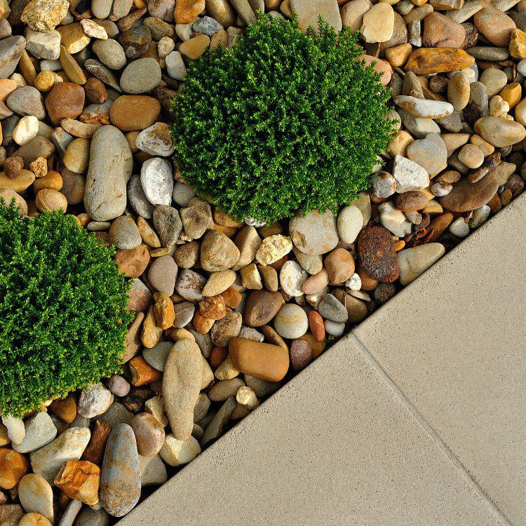 Landscape Services in Princeton, TX Landscape Services in Princeton, TX